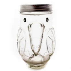 Budget 😍 BarMan BarConic® Parrot Mason Jar W/lid - 14 Ounce 🎉 -Barman Sales Store barconic parrot mason jar clean2 700x700