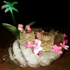 Best Pirce 😀 BarMan BarConic® Tiki Mug - Conch Glass - 22 Ounce ✨ 7 Best Pirce 😀 BarMan BarConic® Tiki Mug - Conch Glass - 22 Ounce ✨ -Barman Sales Store bpc 1 1 700x700