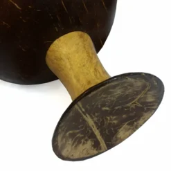 Top 10 🛒 BarMan BarConic® Coconut Coupe Cup - 16 Oz. ✔️ -Barman Sales Store cocowine1bpc 700x700