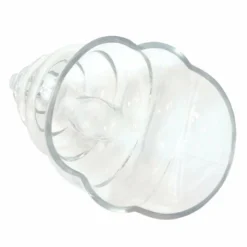 Best Pirce 😀 BarMan BarConic® Tiki Mug - Conch Glass - 22 Ounce ✨ 9 Best Pirce 😀 BarMan BarConic® Tiki Mug - Conch Glass - 22 Ounce ✨ -Barman Sales Store gw conch2 bpc 800 1 700x700