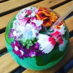 Deals 🥰 BarMan Spherical Halm Cocktail Glass - 300ml 🌟 -Barman Sales Store halm4 700x700