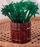 Outlet ⭐ BarMan BarConic® Green Palm Tree Stirrers - 7" - Pack Of 200 ✔️